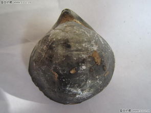 古玉小拍场 方寸天地间的宝藏之旅